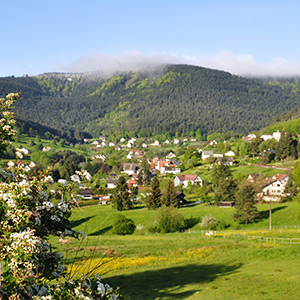 A Wangenbourg